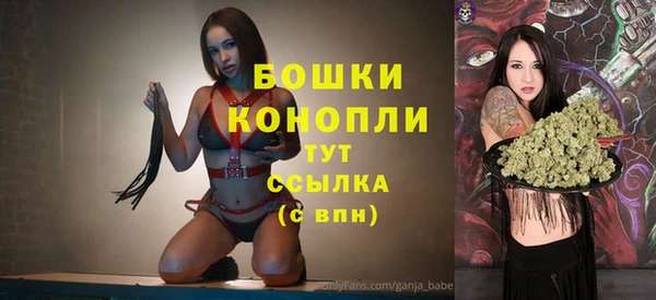 PSILOCYBIN Бугульма