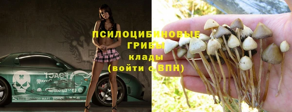 PSILOCYBIN Бугульма